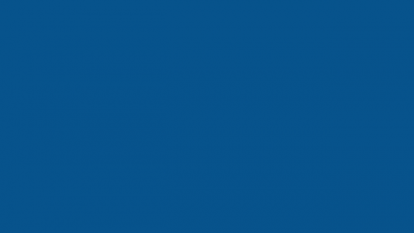 Ravensburger Italy Puzzle 3d Castello Di Neuschwanstein 216 Pezzi 12 Anni 125739 0